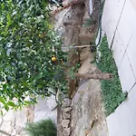 Charmy Petra With Pool Apartment Makarska