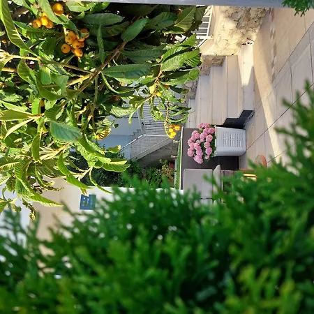 Charmy Petra With Pool Apartament Makarska