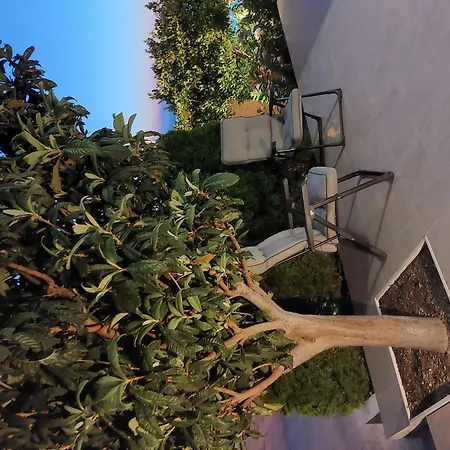 Charmy With Pool * Makarska